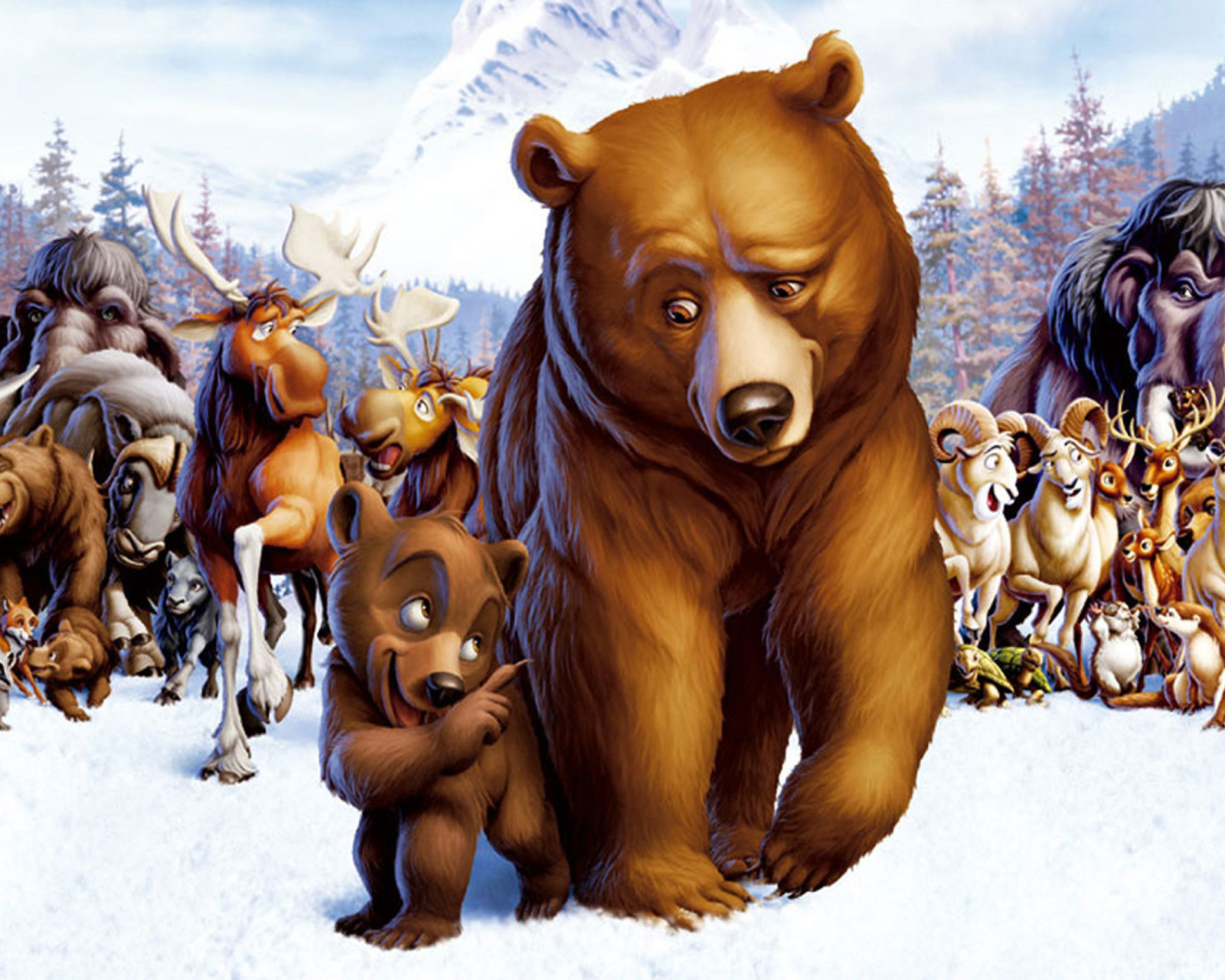 Das Brother Bear Cartoon Wallpaper 1600x1280
