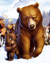Обои Brother Bear Cartoon 176x220