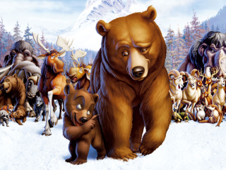 Das Brother Bear Cartoon Wallpaper 320x240
