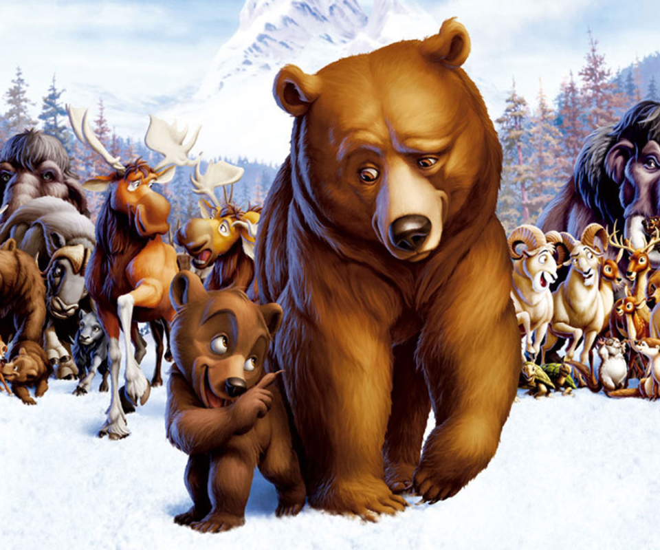 Das Brother Bear Cartoon Wallpaper 960x800