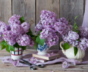 Обои Lilac Bouquet 176x144