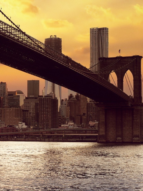 Brooklyn Bridge screenshot #1 480x640