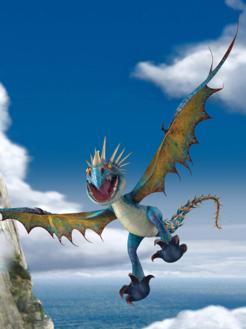 How to Train Your Dragon wallpaper 480x640
