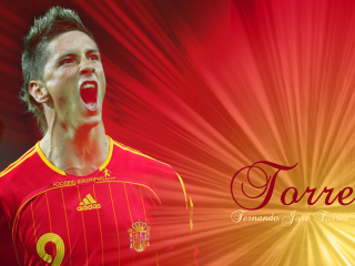 Das Fernando Torres Wallpaper 320x240