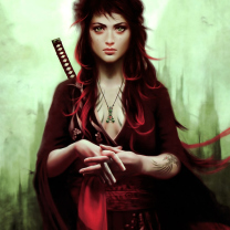 Обои Warrior Girl 208x208