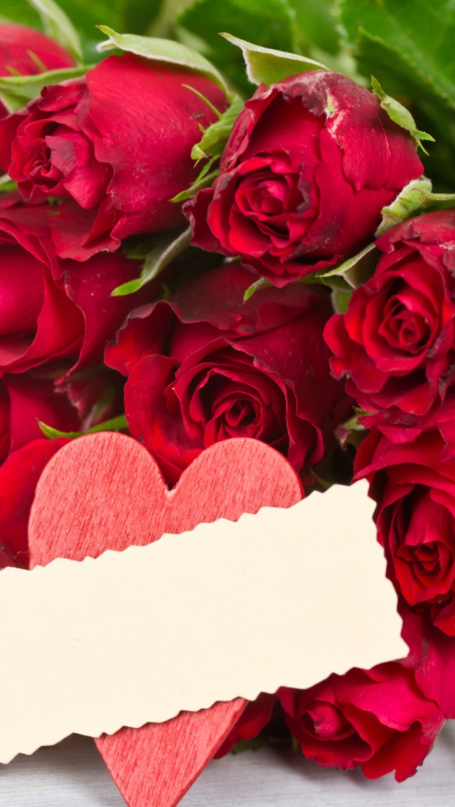 True Love wallpaper 640x1136