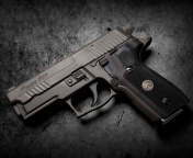 Sig Sauer Sigarms Pistols P229 wallpaper 176x144