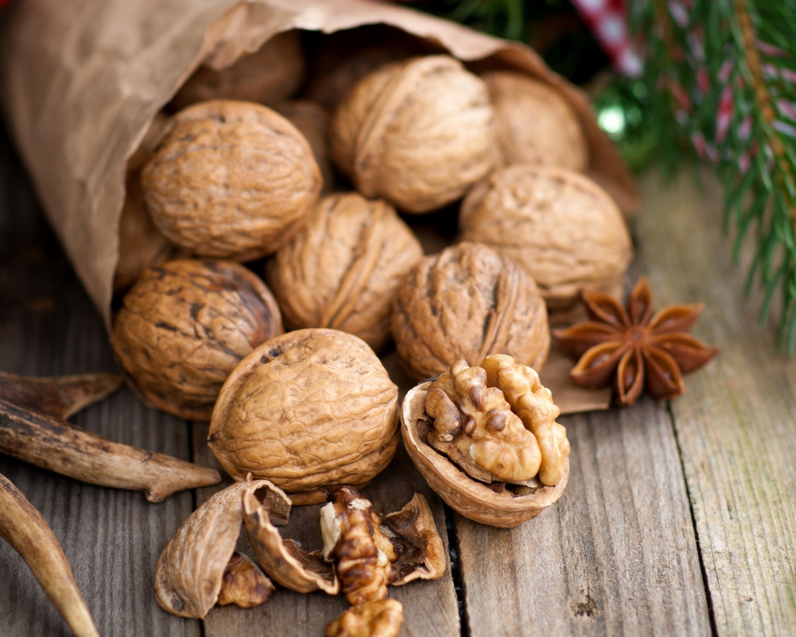 Walnuts screenshot #1 1600x1280