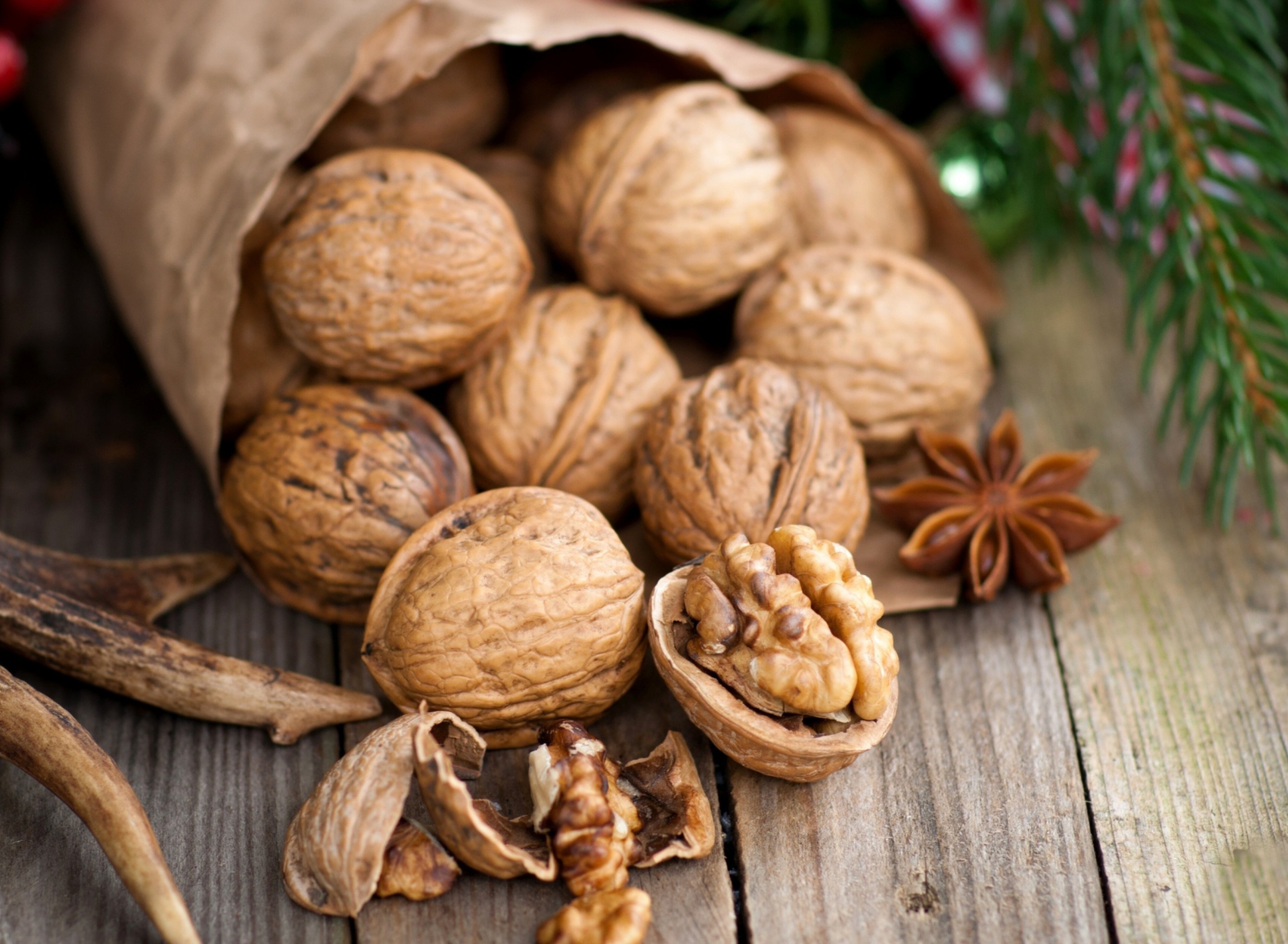 Walnuts screenshot #1 1920x1408