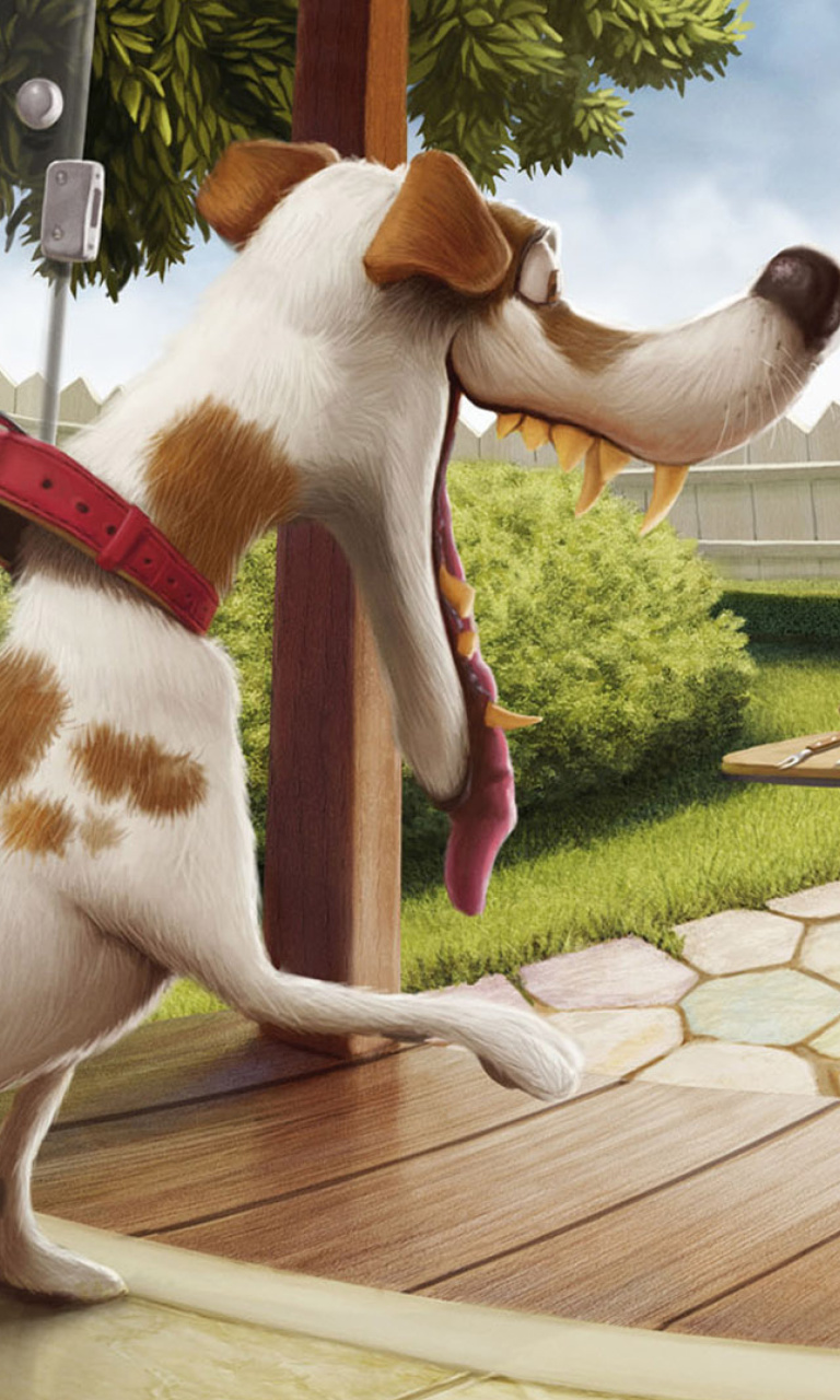 Fondo de pantalla Funny Dog 768x1280