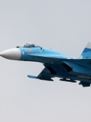 Sukhoi Su 27 Flanker wallpaper 132x176