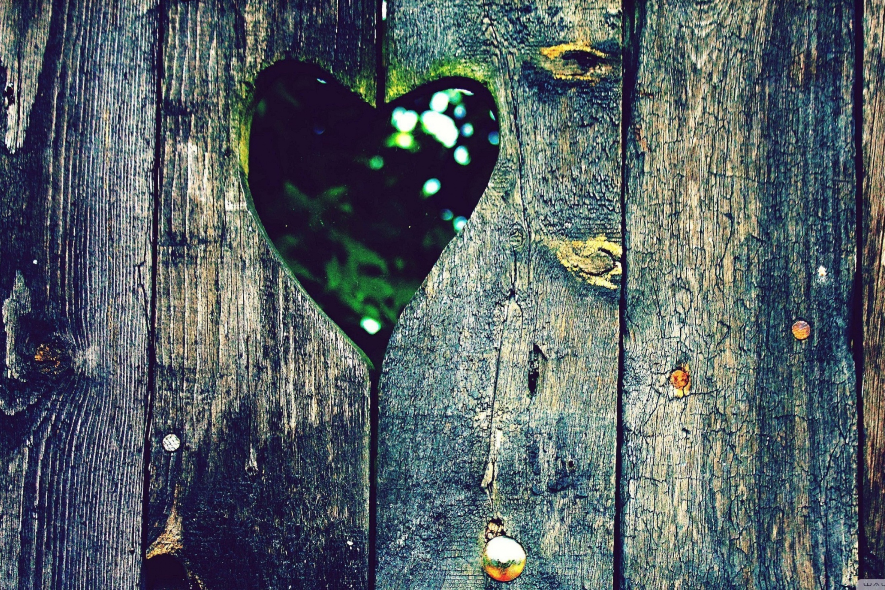 Картинки на ватсап красивые. Сердце на фоне дерева. Дерево с сердечками. Обои на ватсап. Обои дерево любовь.