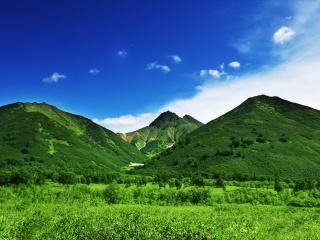 Green Hills wallpaper 320x240