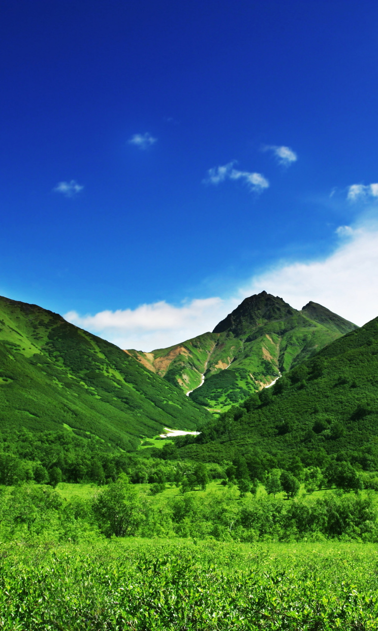 Green Hills wallpaper 768x1280