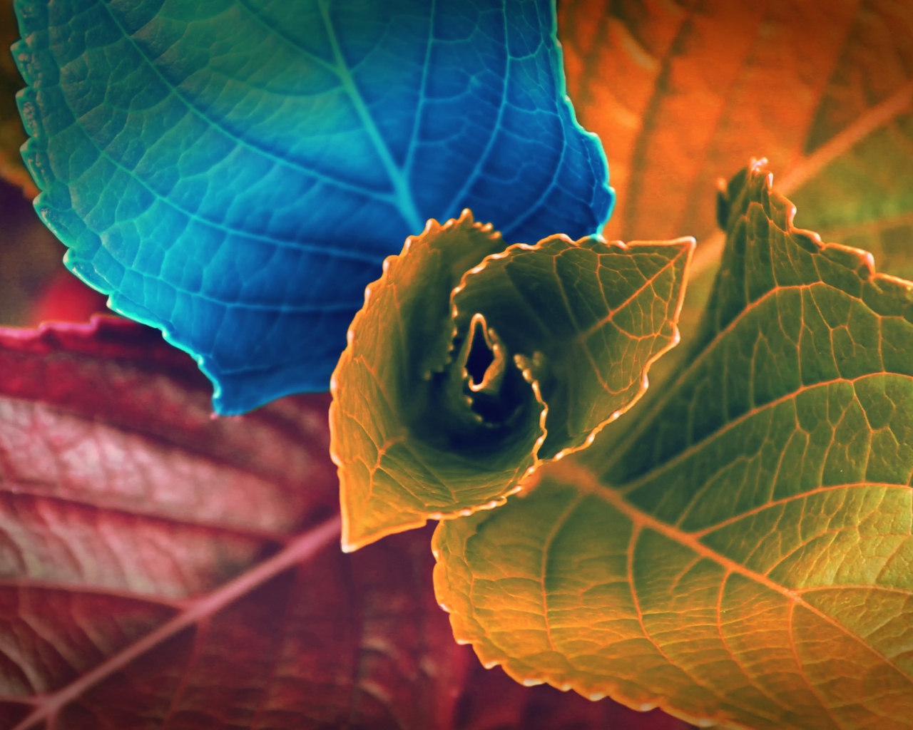 Das Colorful Plant Wallpaper 1280x1024