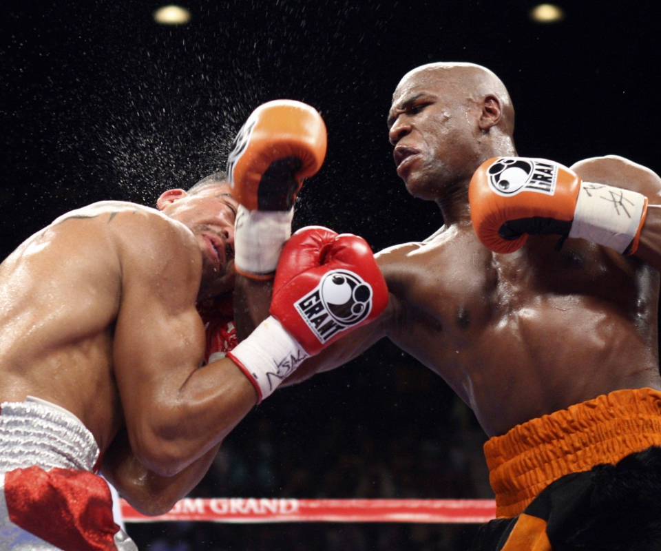 Screenshot №1 pro téma Floyd Mayweather 960x800