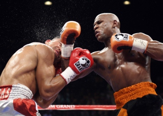 Free Floyd Mayweather Picture for Android, iPhone and iPad