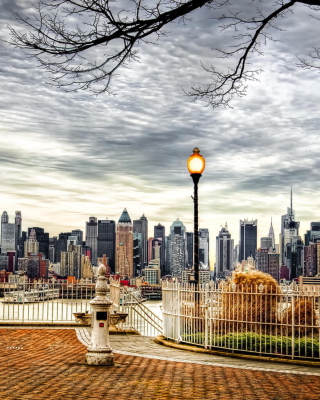 Beautiful Autumn New York City sfondi gratuiti per iPhone 6 Plus