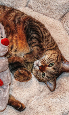 Lazy cat with Toy HD wallpaper 240x400