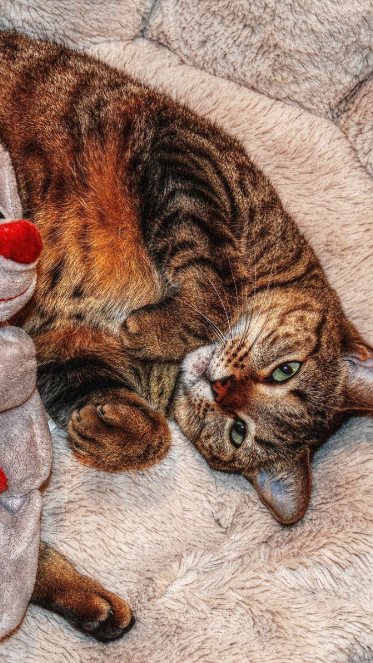 Das Lazy cat with Toy HD Wallpaper 750x1334