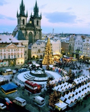Praha Old Town screenshot #1 176x220