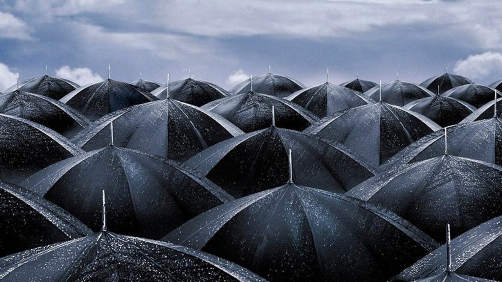Sfondi Umbrellas 1600x900