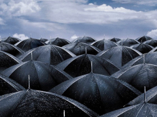 Das Umbrellas Wallpaper 320x240