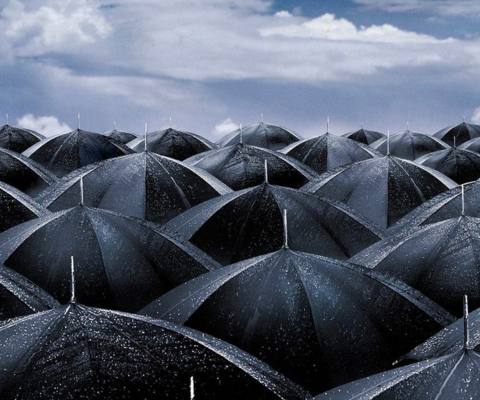 Umbrellas wallpaper 480x400