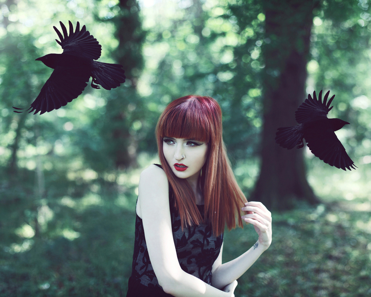 Fondo de pantalla Girl And Ravens 1280x1024