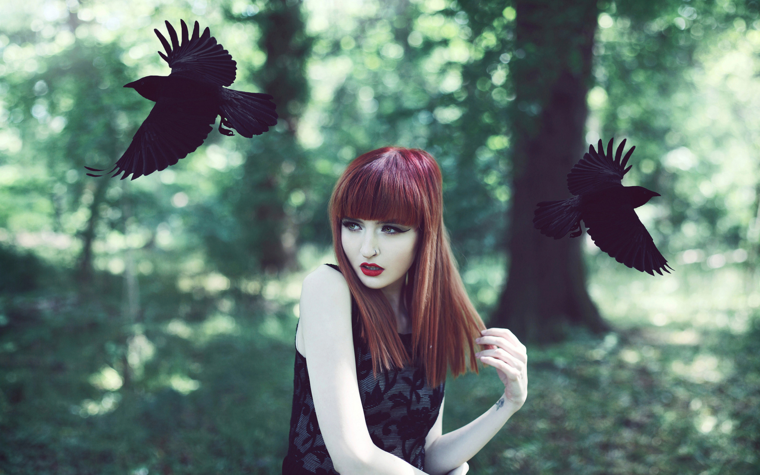 Fondo de pantalla Girl And Ravens 2560x1600