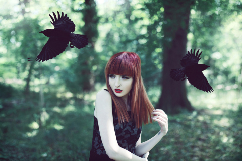 Girl And Ravens screenshot #1 480x320