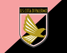 Screenshot №1 pro téma Palermo Calcio 220x176