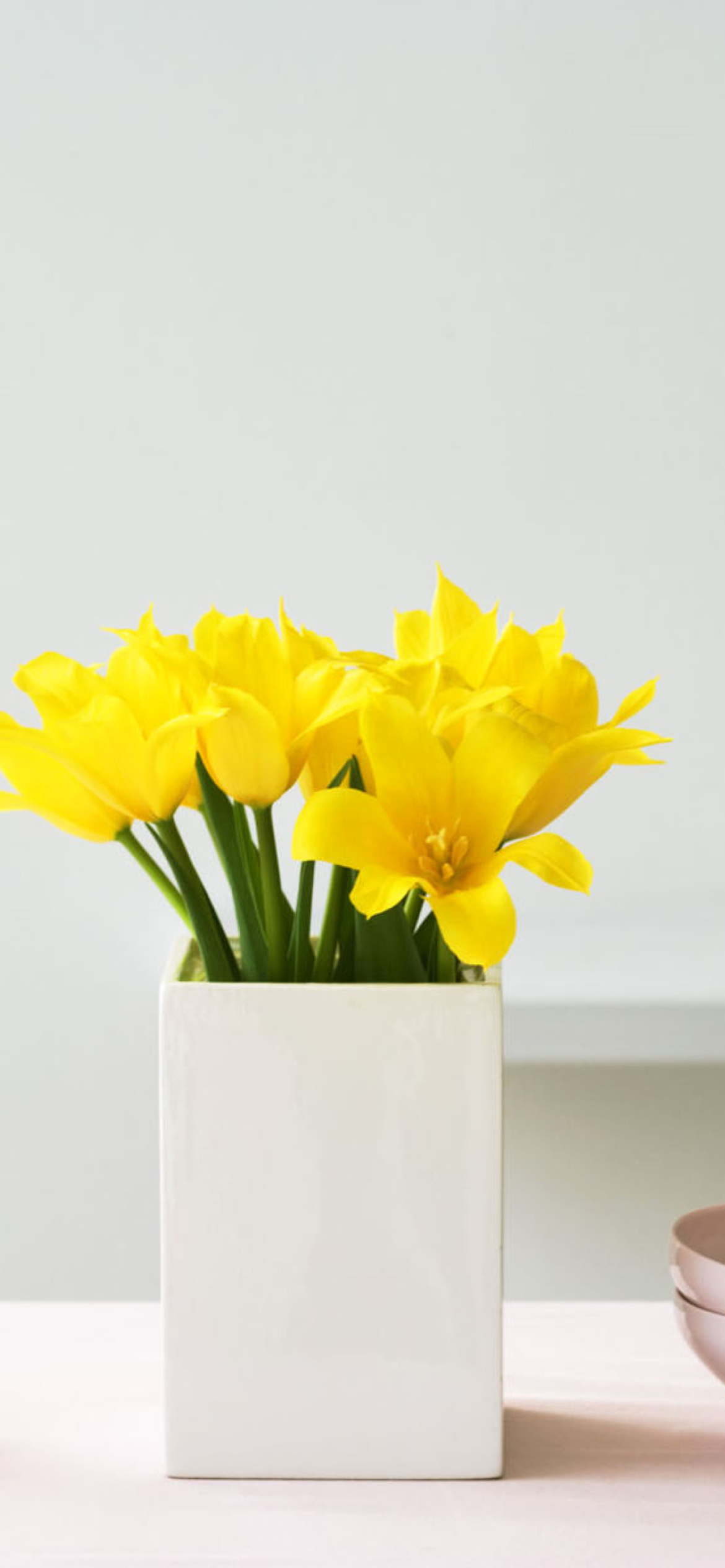 Fondo de pantalla Yellow Flowers In Vase 1170x2532