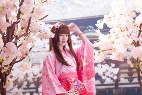 Обои Japanese Girl in Kimono 480x320