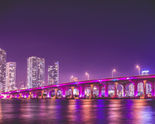 Das Miami Florida Wallpaper 220x176