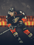 Обои Bobby Ryan 132x176