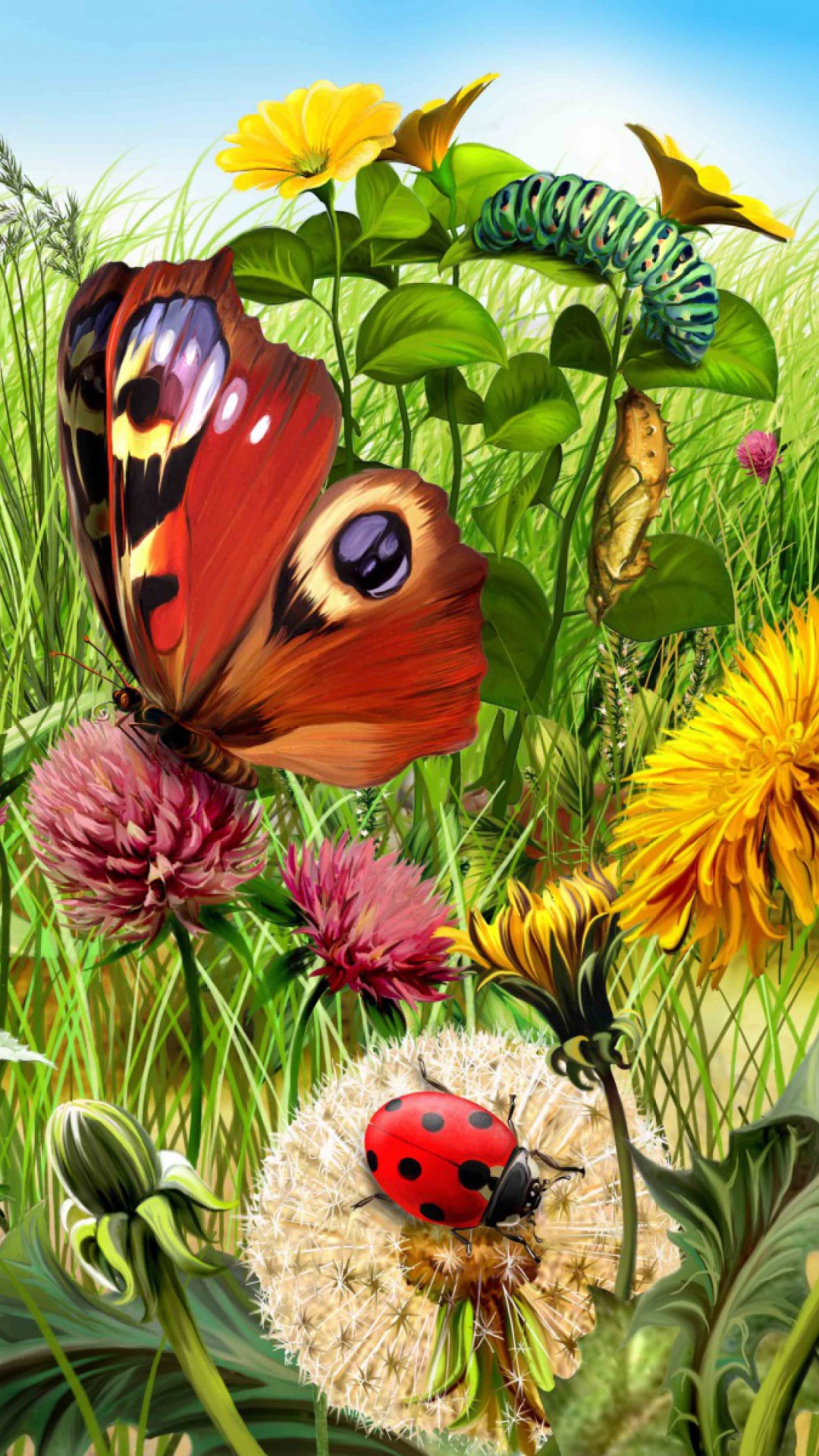 Summer Meadow wallpaper 1080x1920