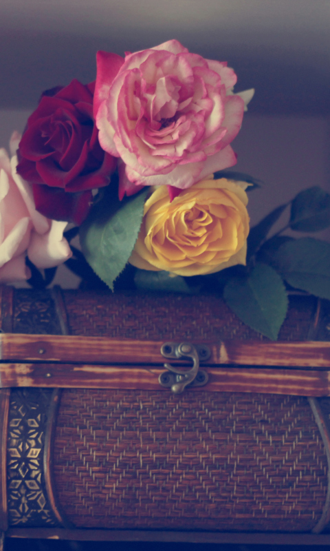 Flowers And Vintage Box wallpaper 480x800