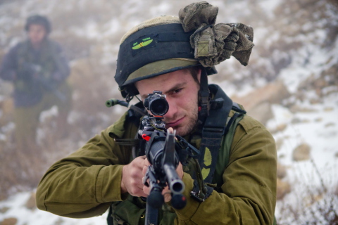 Das Israel Defense Forces Wallpaper 480x320