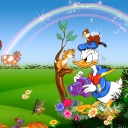 Обои Donald Duck 128x128