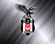 Screenshot №1 pro téma Besiktas - Beşiktaş J.K. 220x176