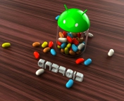 Android Jelly Bean screenshot #1 176x144
