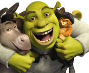 Das Shrek Hd Wallpaper 176x144