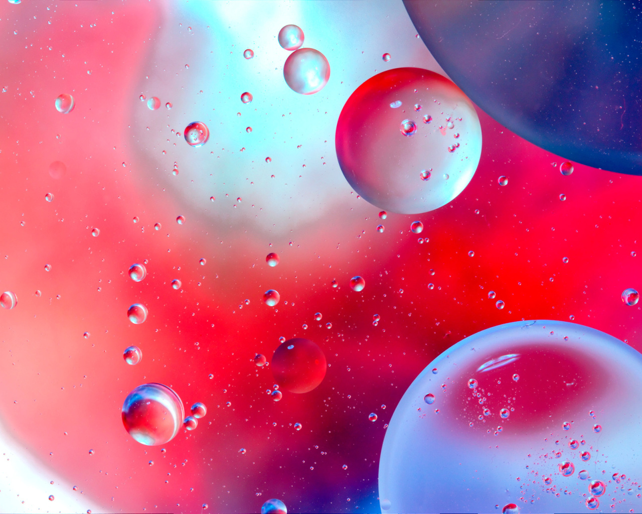 Colorful Bubbles screenshot #1 1280x1024