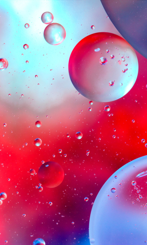 Colorful Bubbles wallpaper 480x800