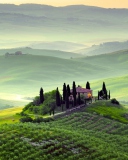 Pienza, Toscana screenshot #1 128x160