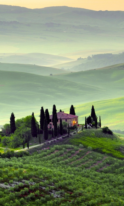 Screenshot №1 pro téma Pienza, Toscana 480x800