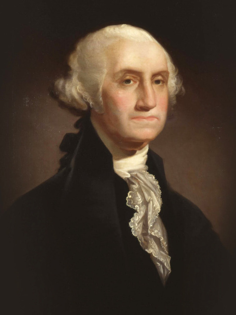 George Washington screenshot #1 480x640