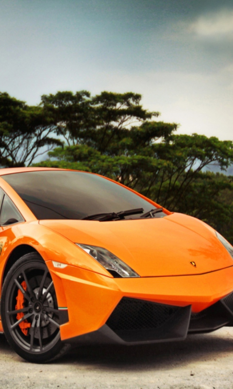 Fondo de pantalla Orange Lamborghini 480x800