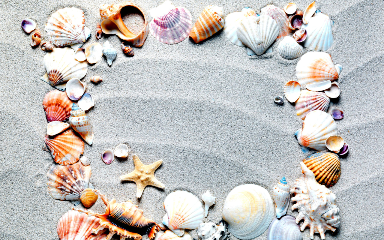 Das Australian Seashells Favors Wallpaper 1280x800